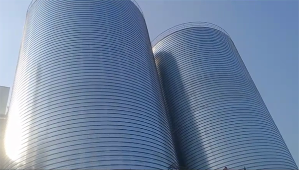 宁南2座混凝土高架卷板仓